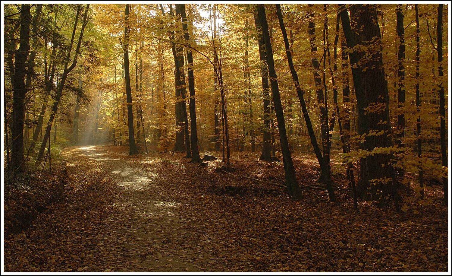 , Борис Алабугин