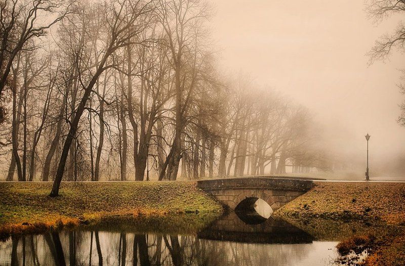 Пейзаж цвета капучино фото превью