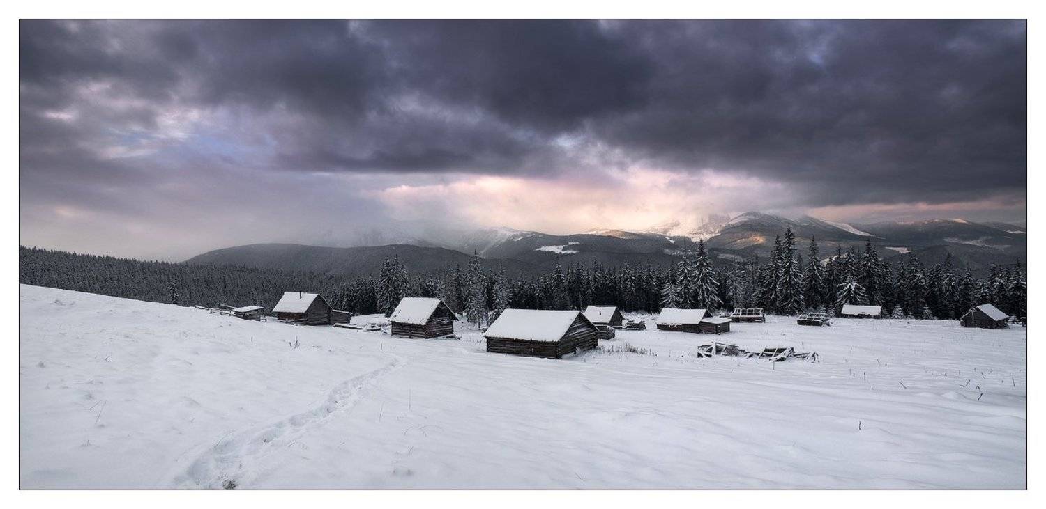 , Денис Кривой