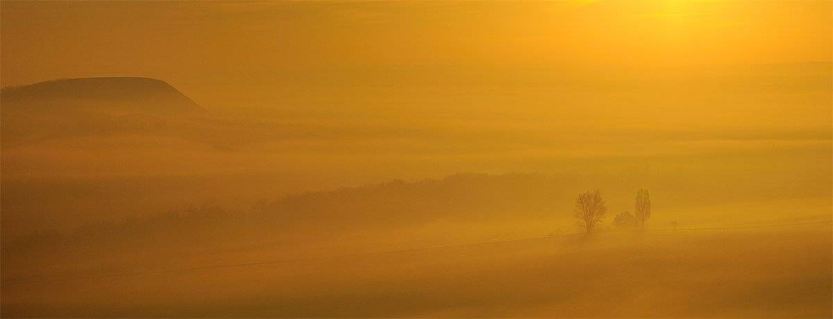 утро,туман,рассвет,деревья, Дeнис Бoдрoв