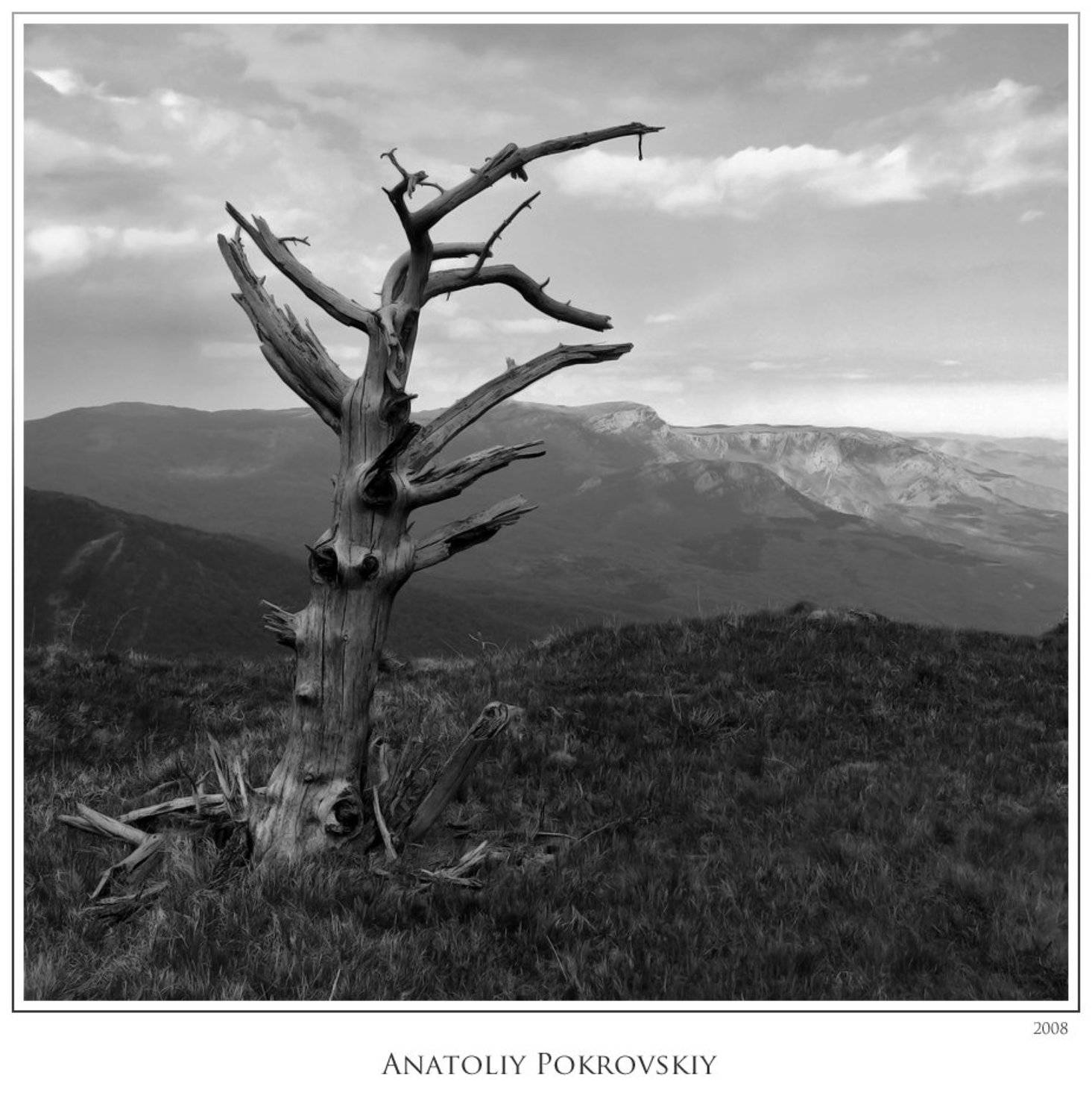 коряга, дерево, горы, демерджи, хапхал, кара-тау, караби, анатолий покровский, Анатолий Покровский