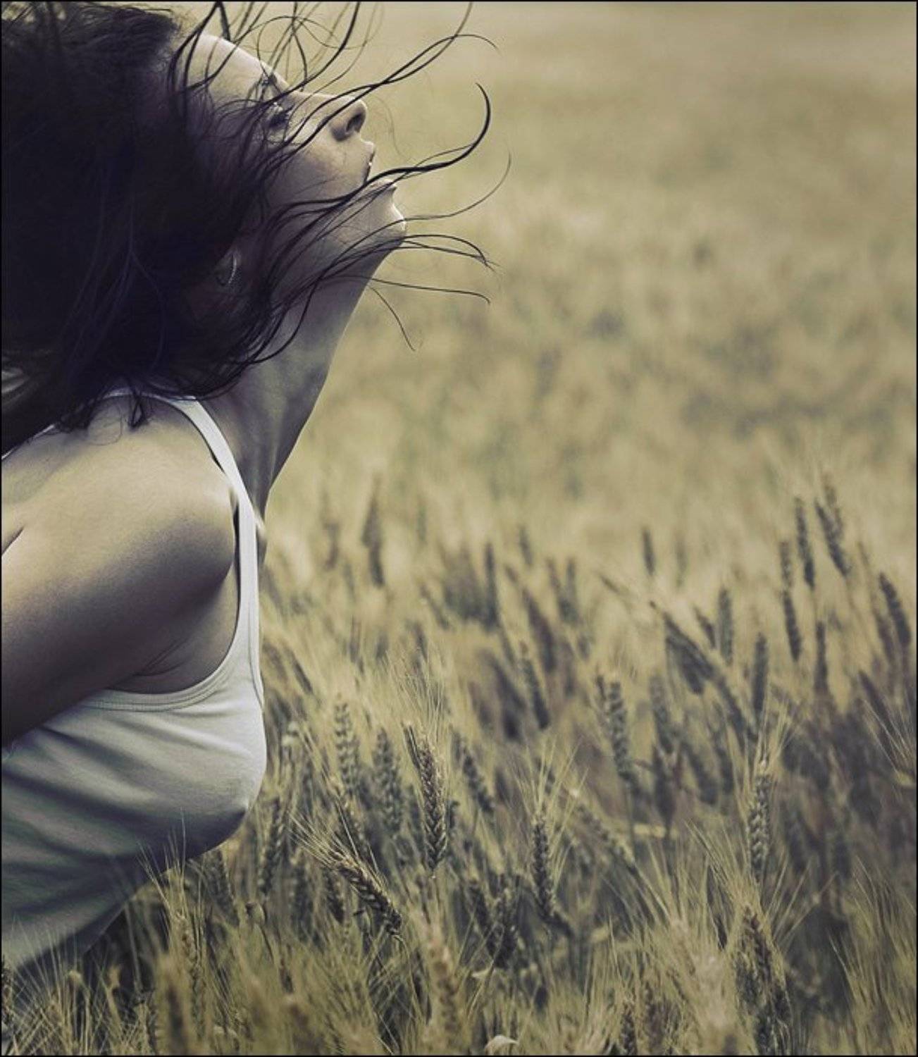 , Алексей Ковалёв