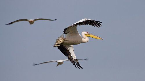 против движения