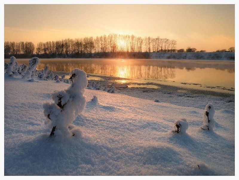 * * * фото превью