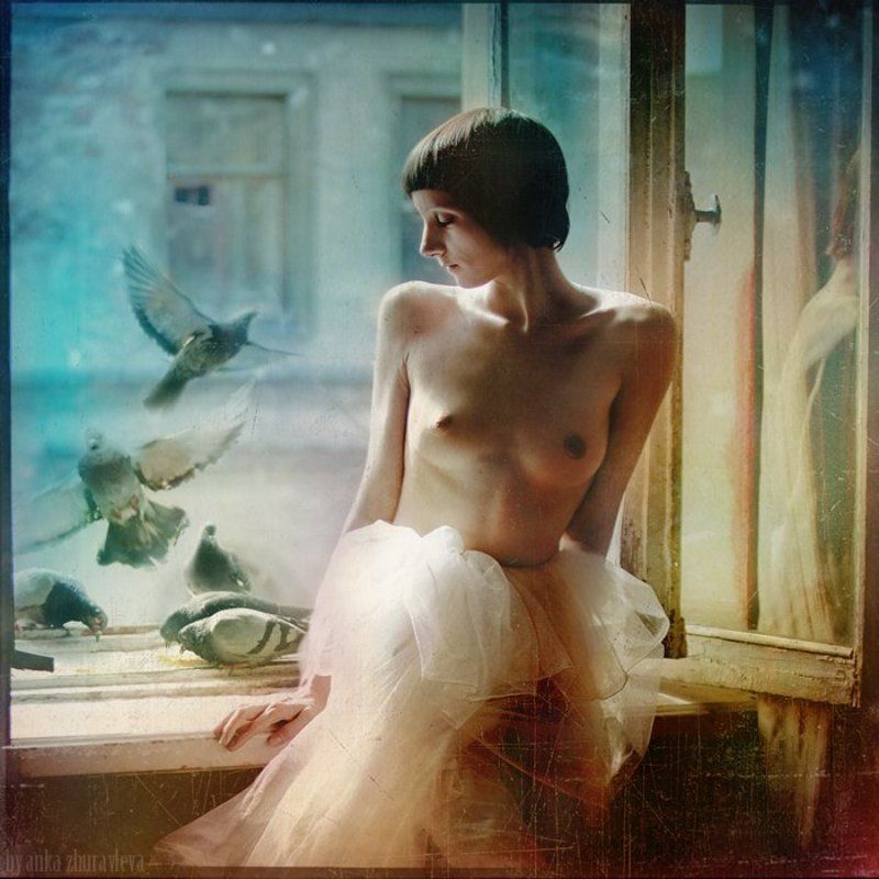 утро с голубями фото превью