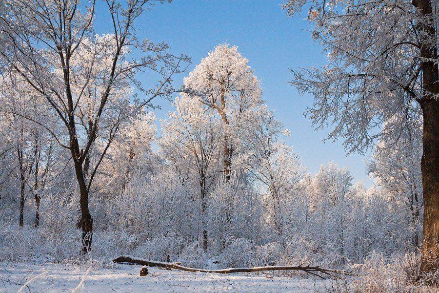 , Kuchkai_murza