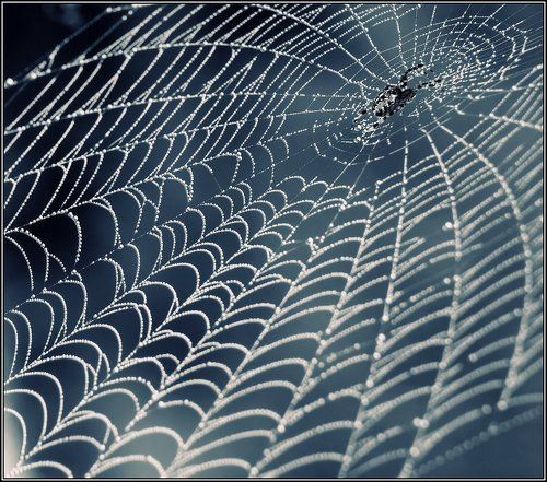 Параллельные пространства