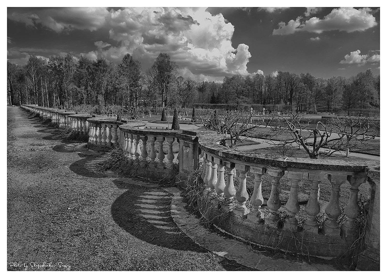 , Sergey Shaposhnikov