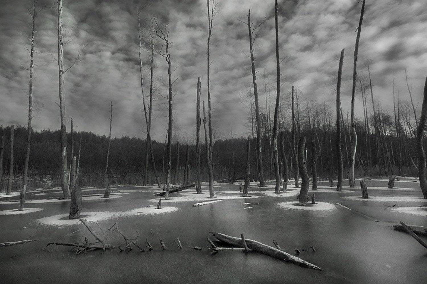 , Артём Маковский