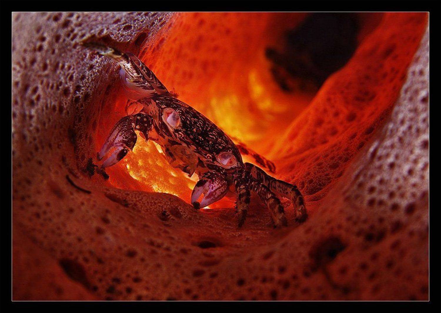 , Нарчук Андрей