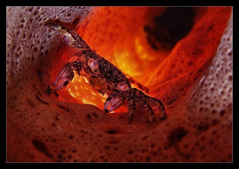 Кошмарик фото превью