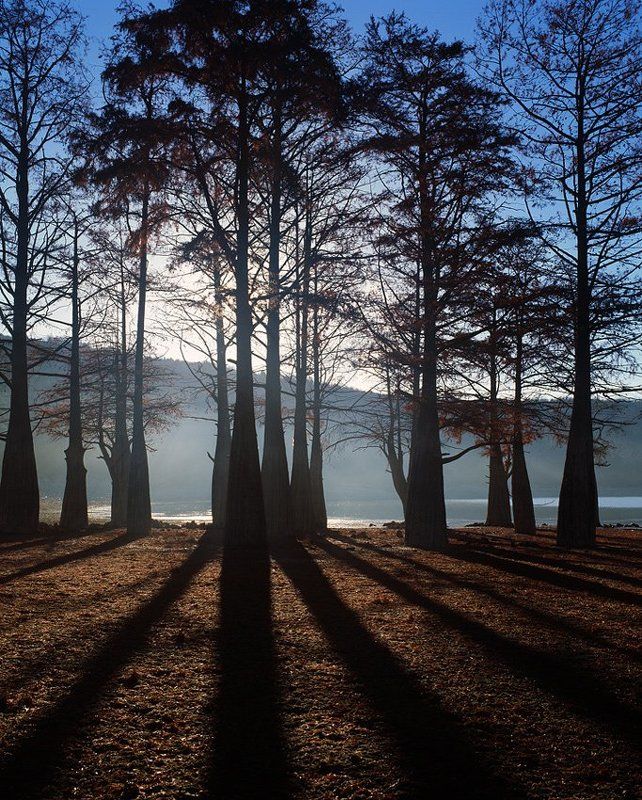 * фото превью