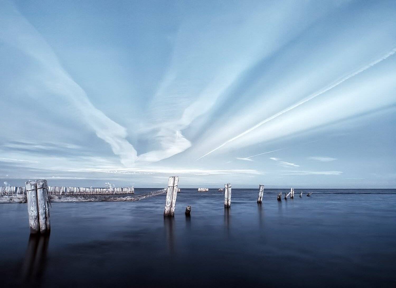 , Максим Евдокимов