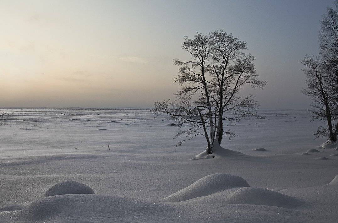 , Владимир Георгиевич