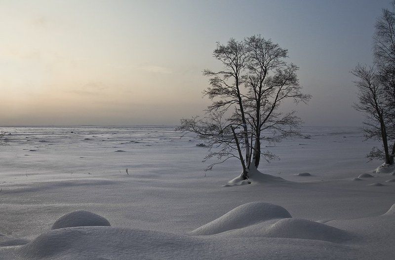 Безмолвие фото превью