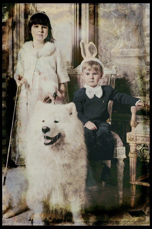 рождества фото превью