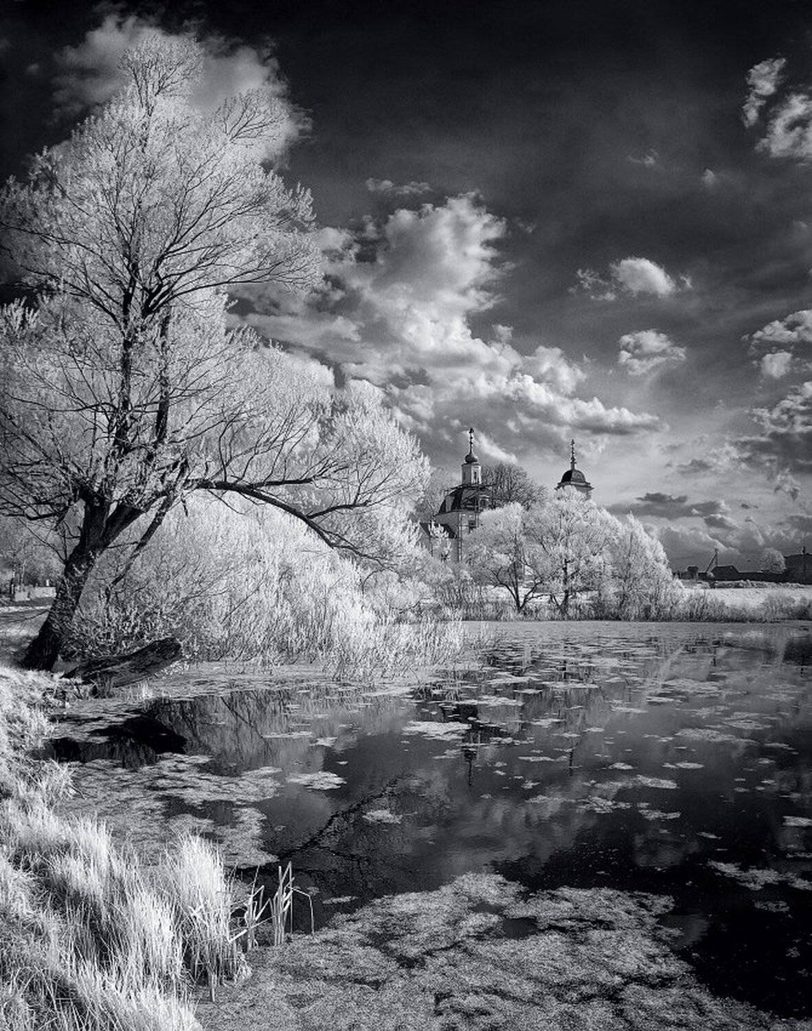 , Максим Евдокимов