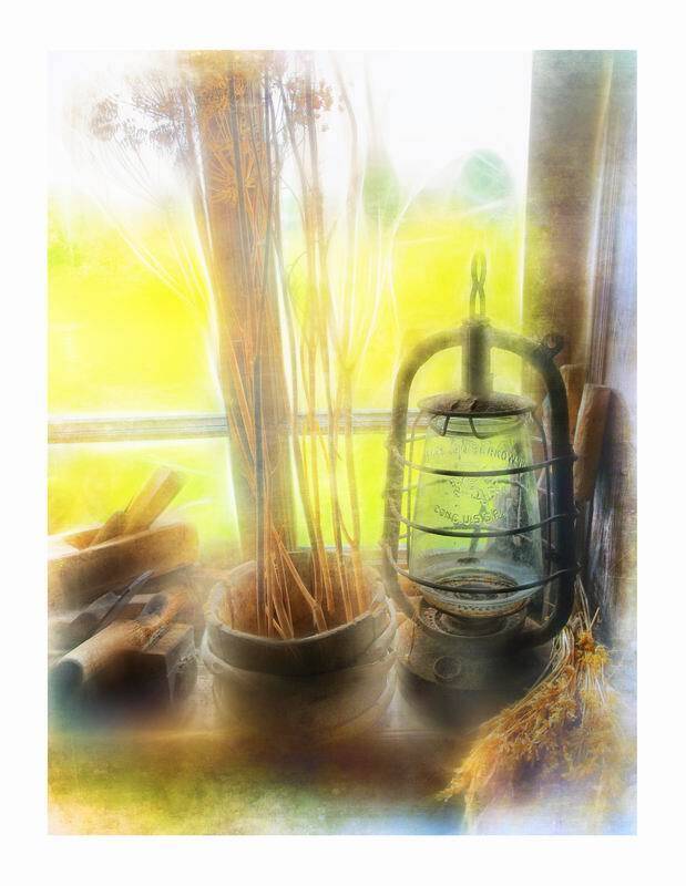 , николай дмитрук