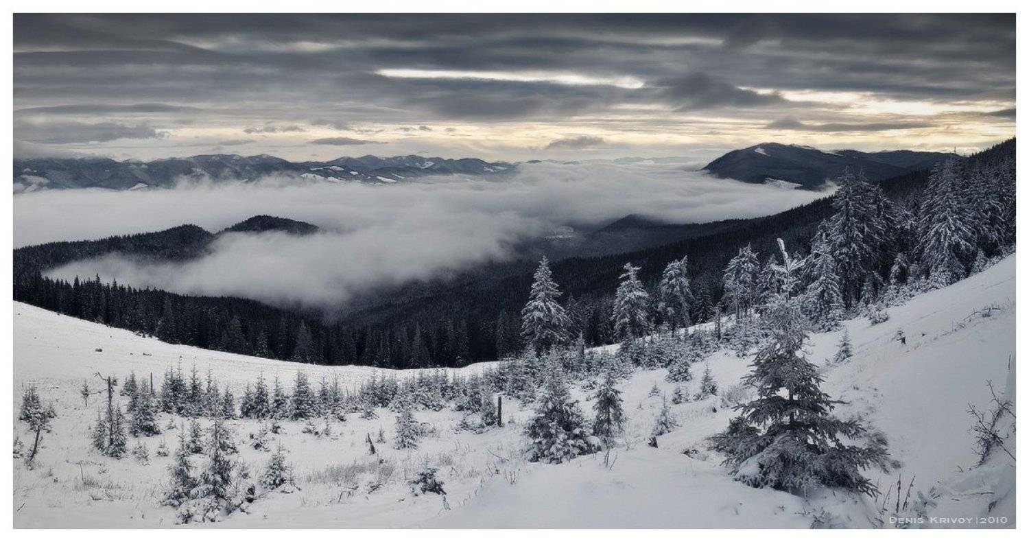 , Денис Кривой