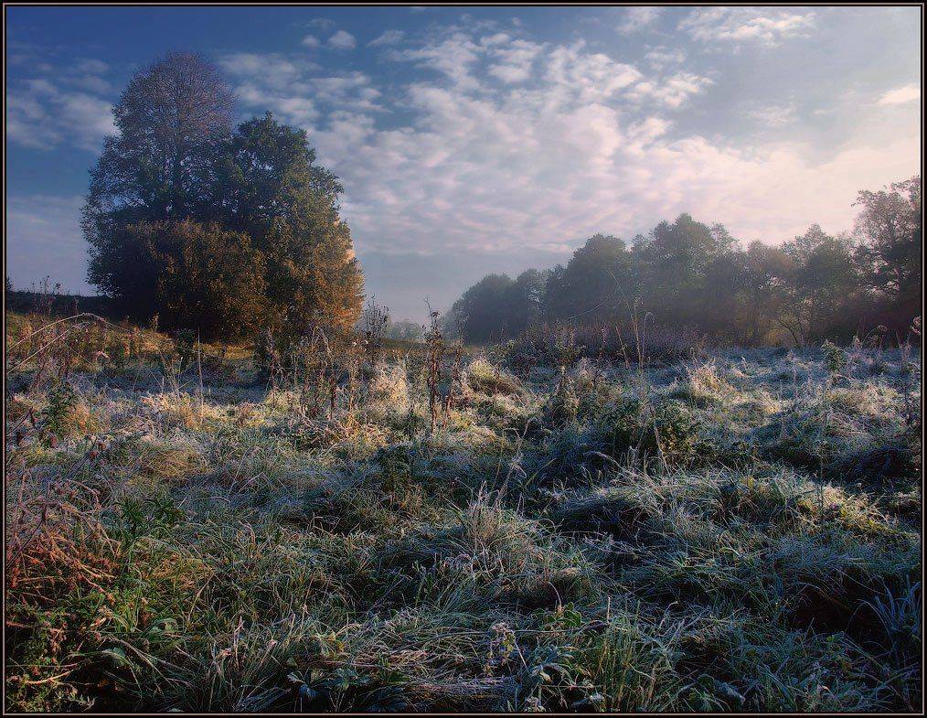 осень, утро, мороз, иней, туман, паутина, Владимир