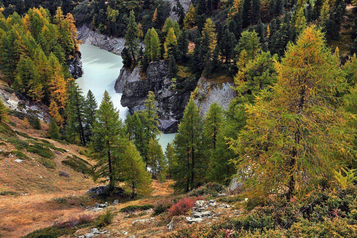 zermatt, Матвеев Николай