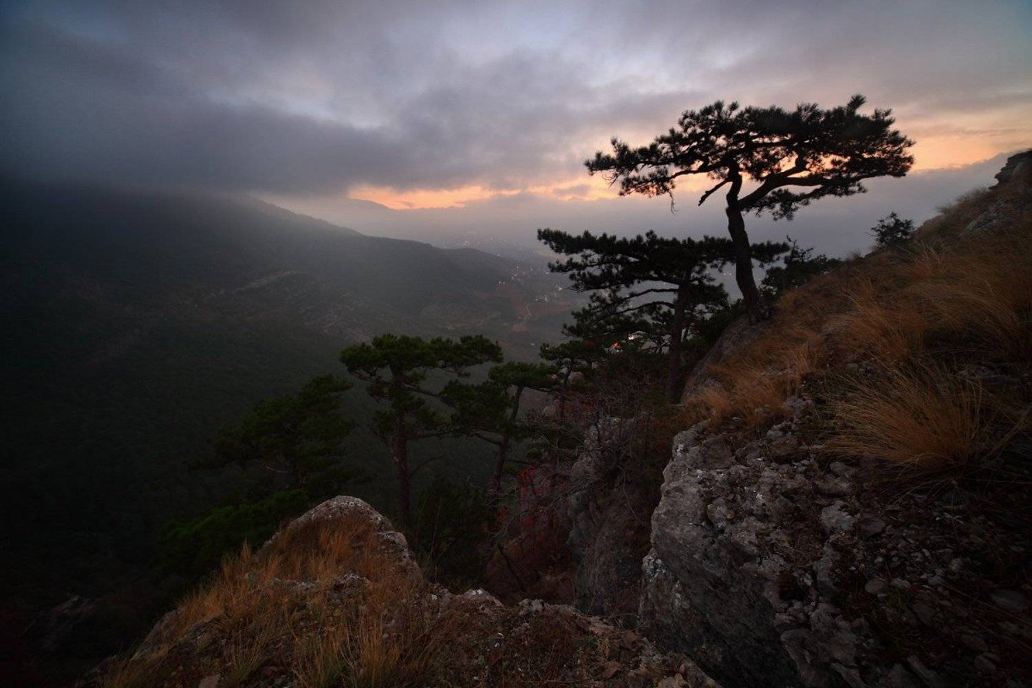 ёлки, крым, горы, ялта, Михаил Псарёв