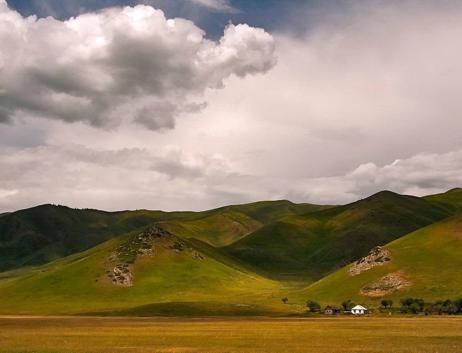 , Vasylevskyy Vitaliy