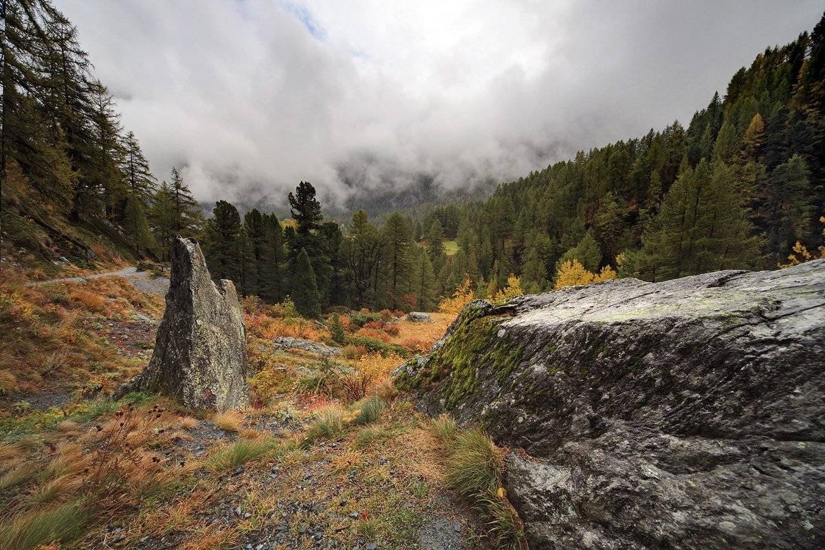zermatt, Матвеев Николай