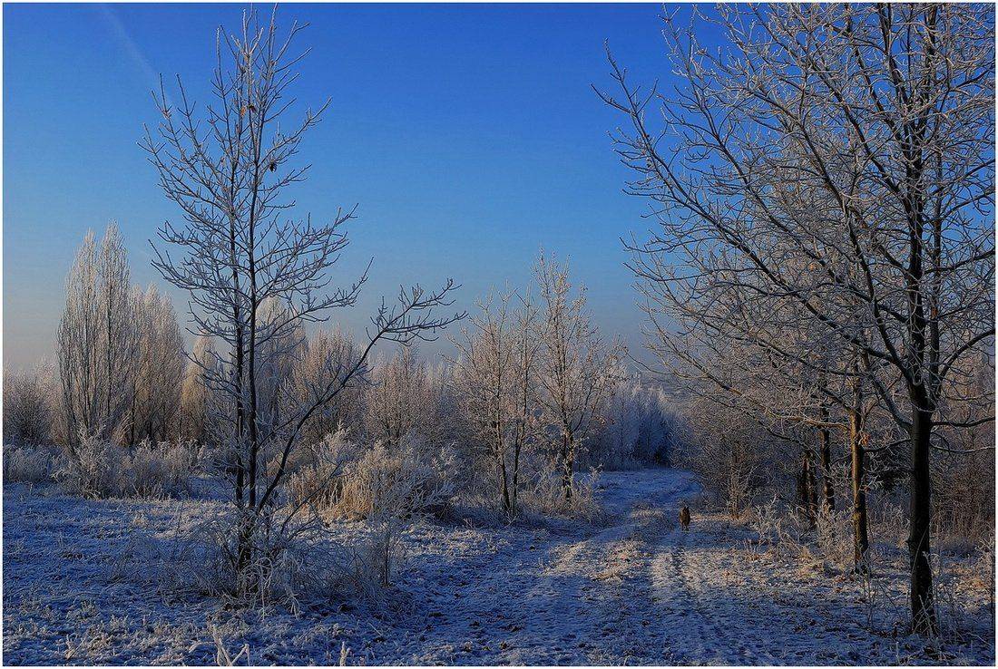 , Евгений strannik521