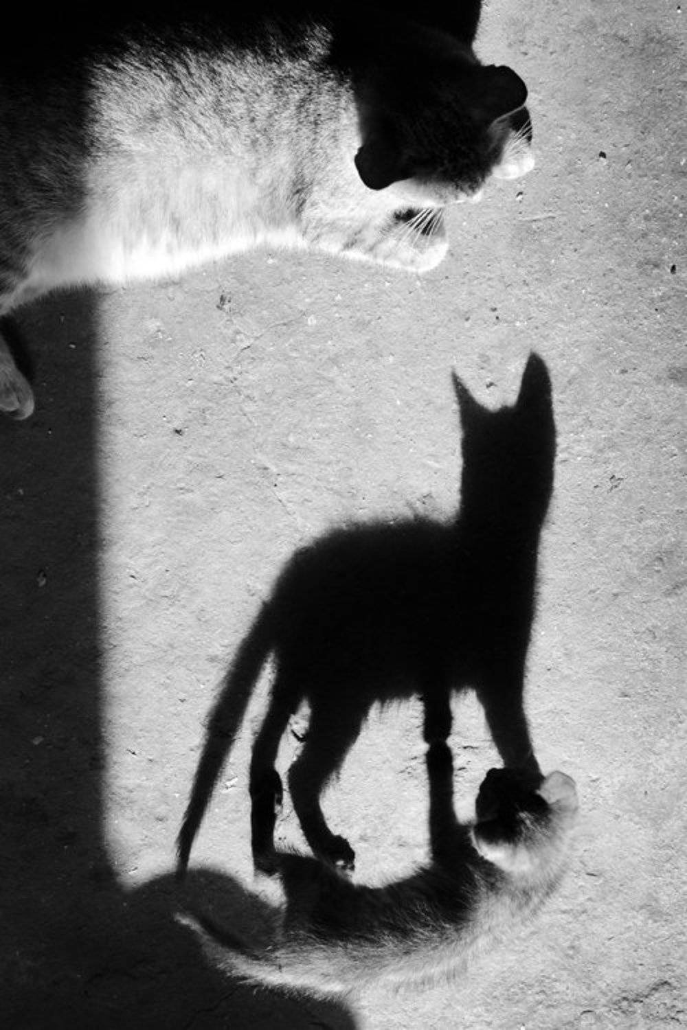 , Бондаренко Александр