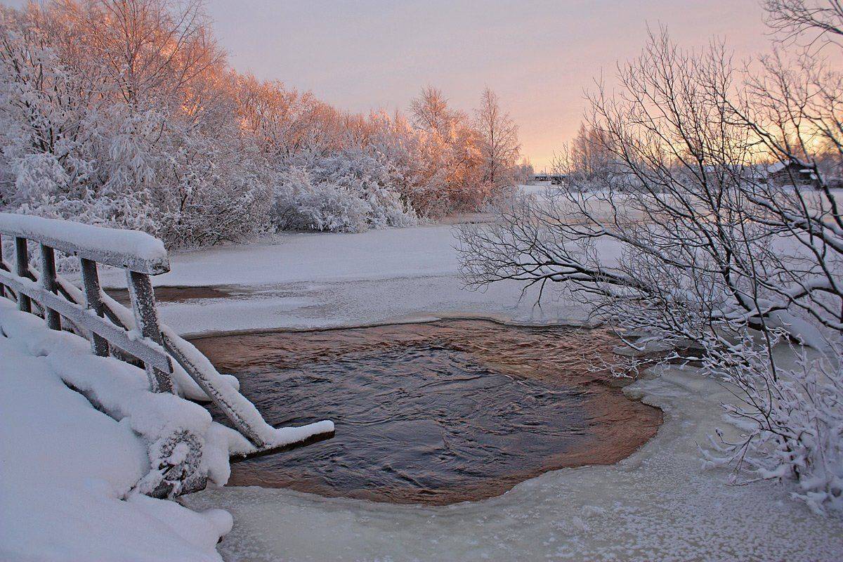, Андрей Котов