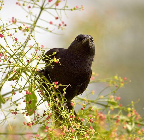 в антураже ))))