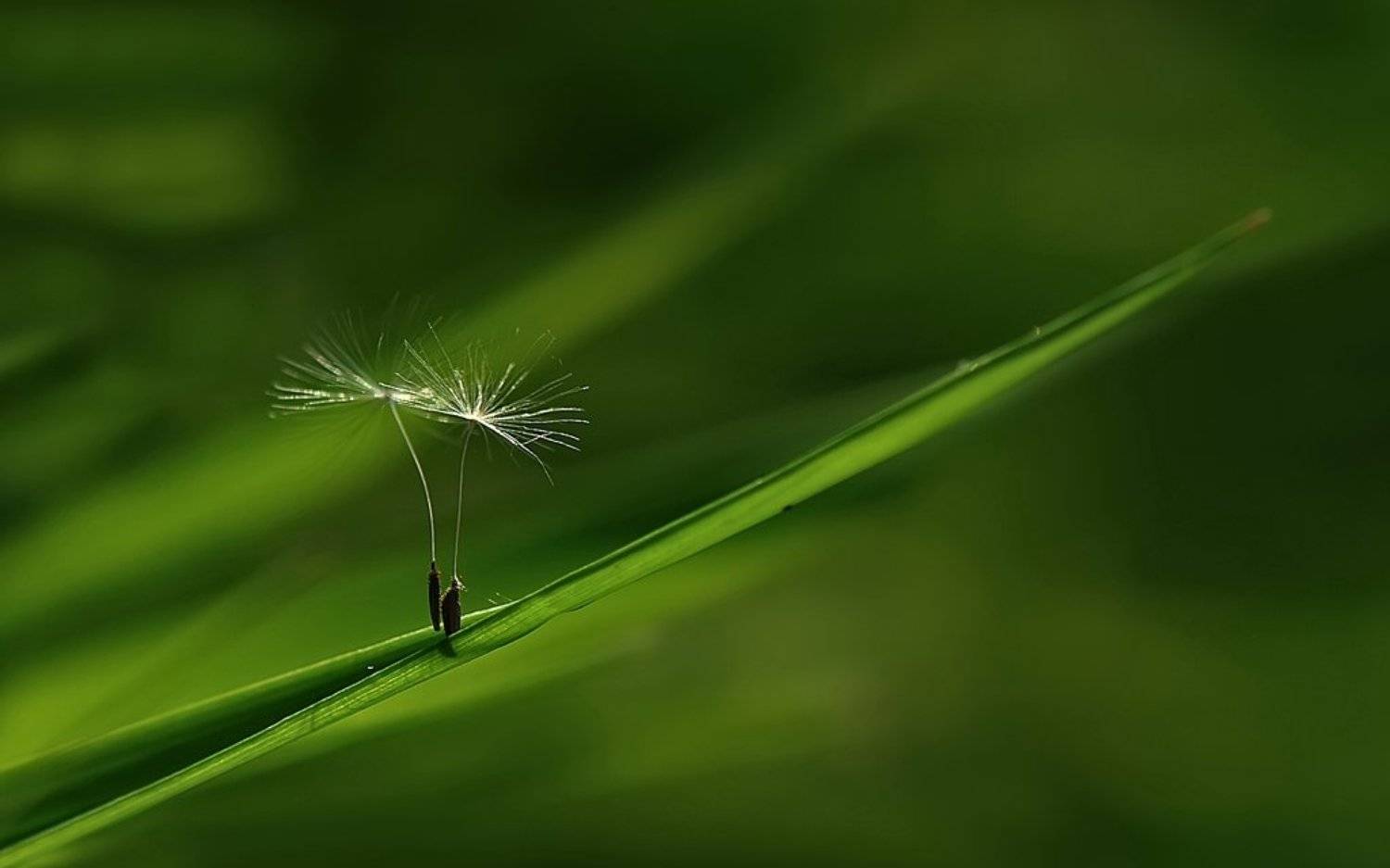 , Татьяна Аверина