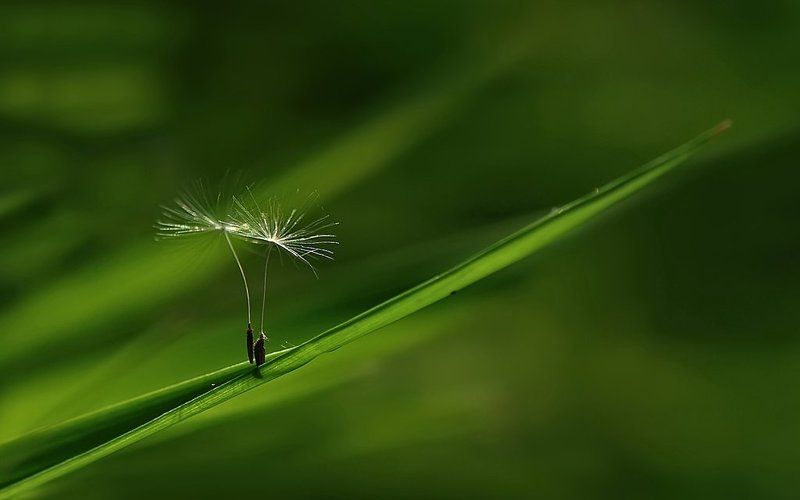 ...и в легком танце нас с тобой закружит,бродяга ветер,унося от суеты... фото превью