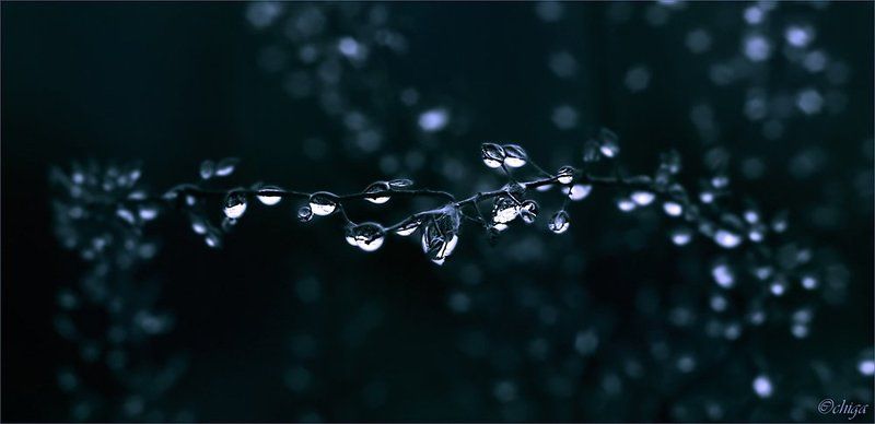 вода, капли Ночной браслет фото превью