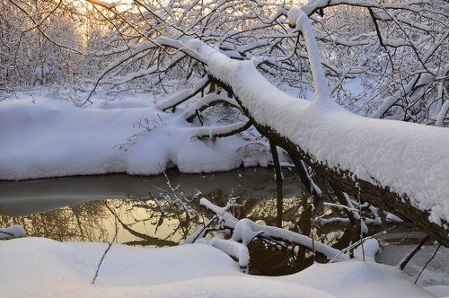 С Новым годом! Счастья и удачи!