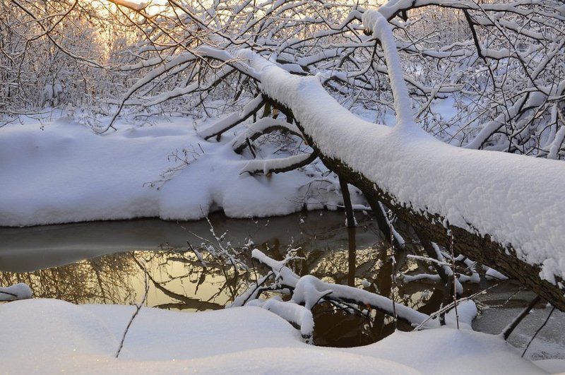 река, зима, снег С Новым годом! Счастья и удачи! фото превью