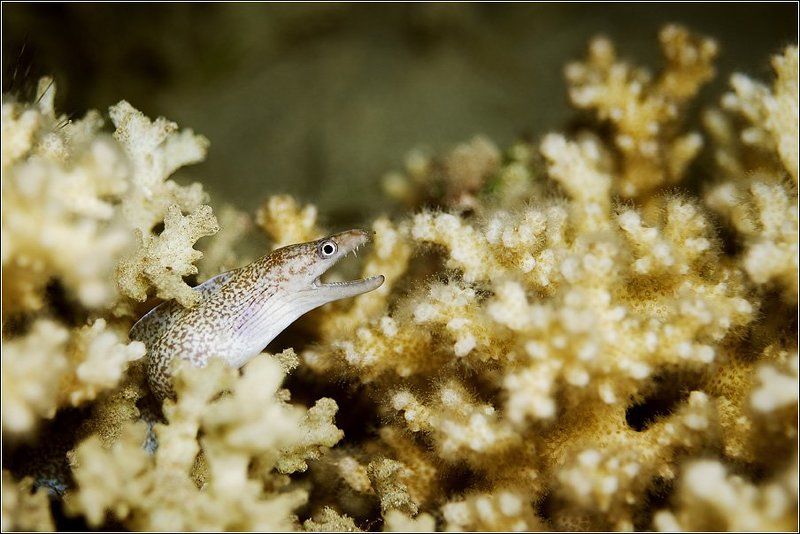 Берегите себя... фото превью