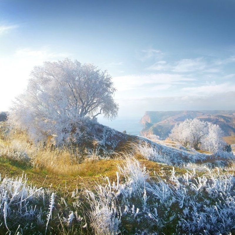 Дыхание зимы 2 фото превью