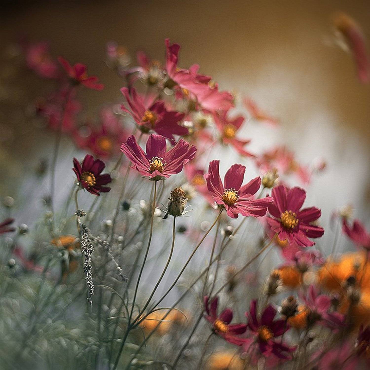 , Сергій Козачук