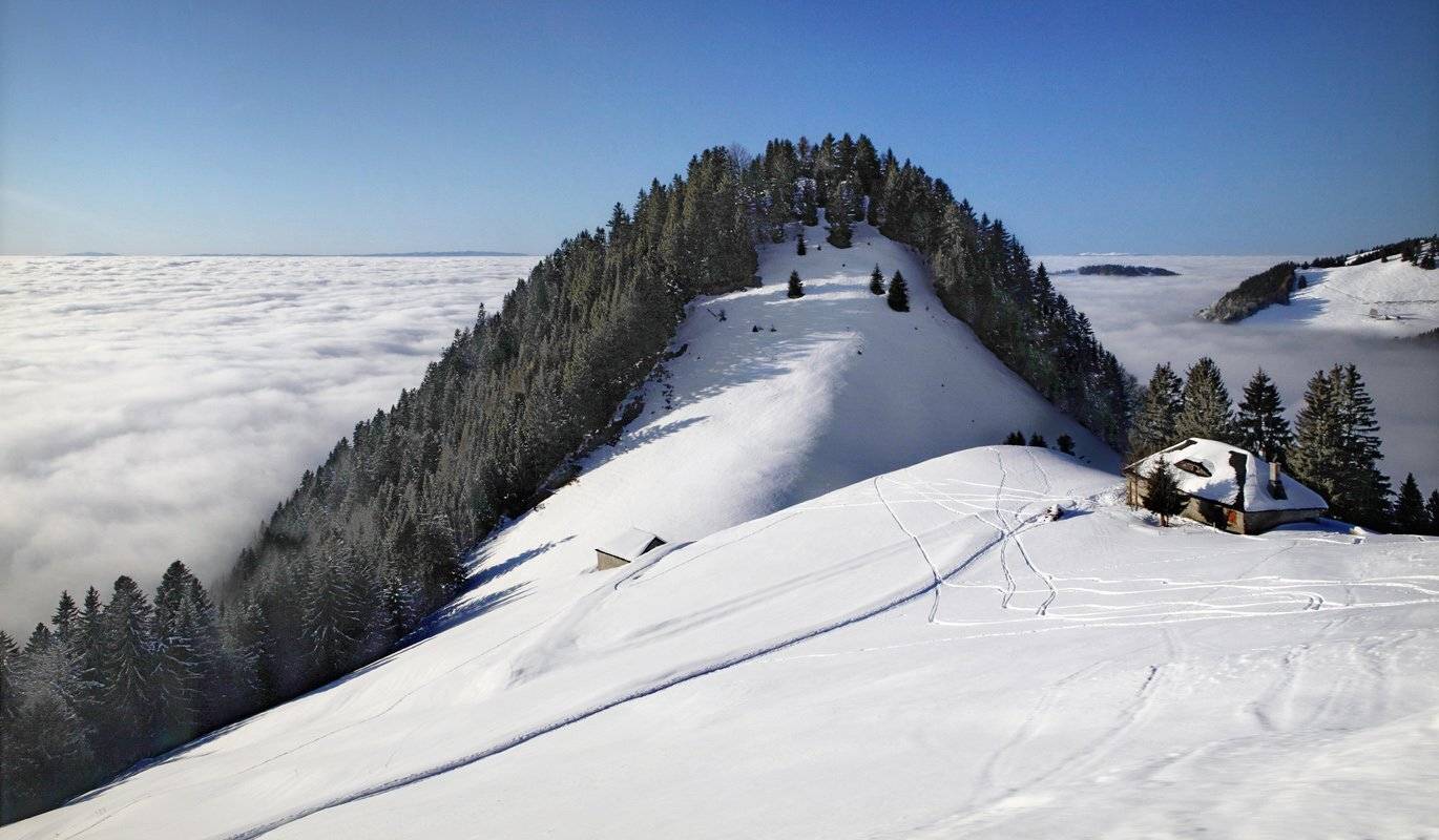 рош, де, ны, Матвеев Николай