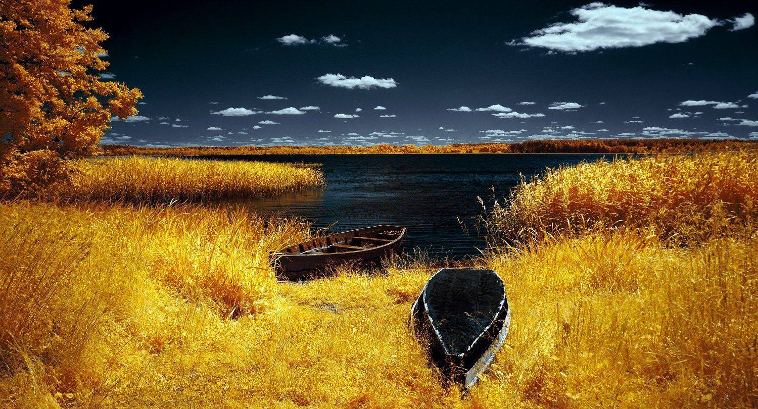 infrared,ик-фото,инфракрасное фото,инфракрасная фотография,пейзаж,природа,беларусь,лето, Sixten ( Сергей )