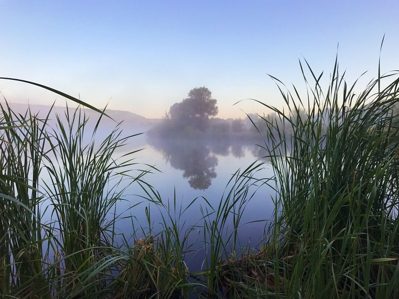 Рассвет (мобильное фото) фото превью