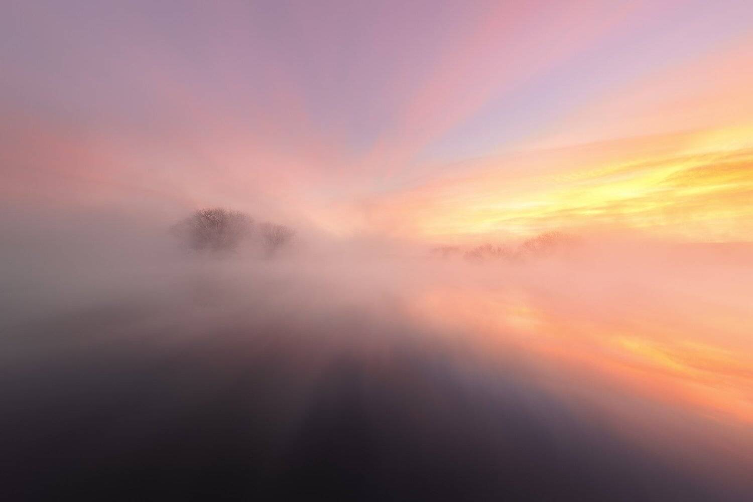 , Михаил Туркеев