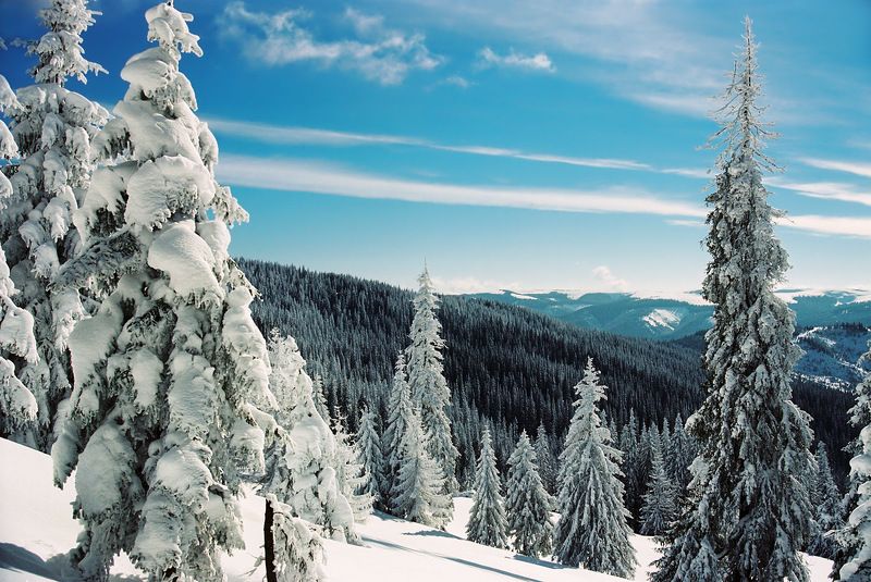 Зимова картинка фото превью