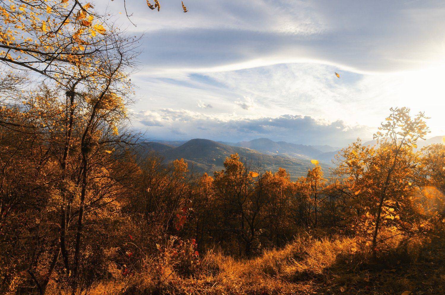осень, свет, краски, небо, горы, nikon, лес, Сергей Лукашенко