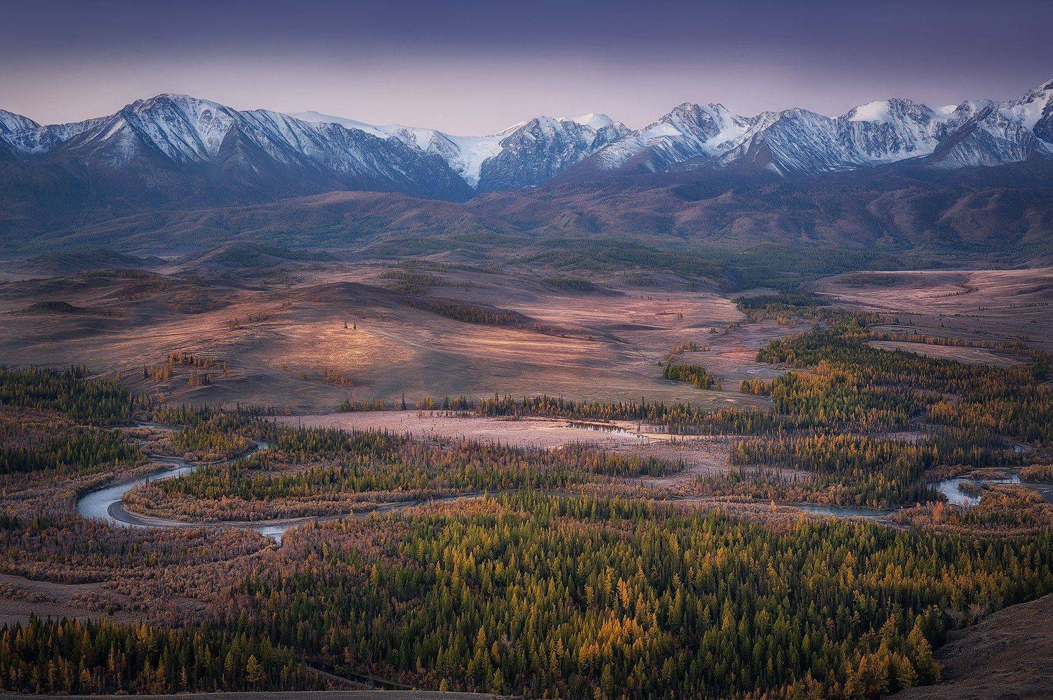 алтай, курайская степь горы рассвет река лиственница осень, Юрий Перцов