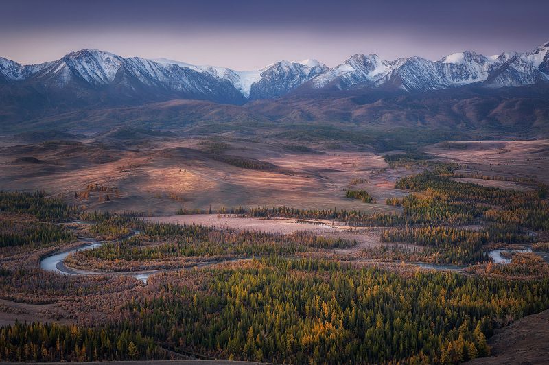 алтай, курайская степь горы рассвет река лиственница осень Перед рассветом фото превью