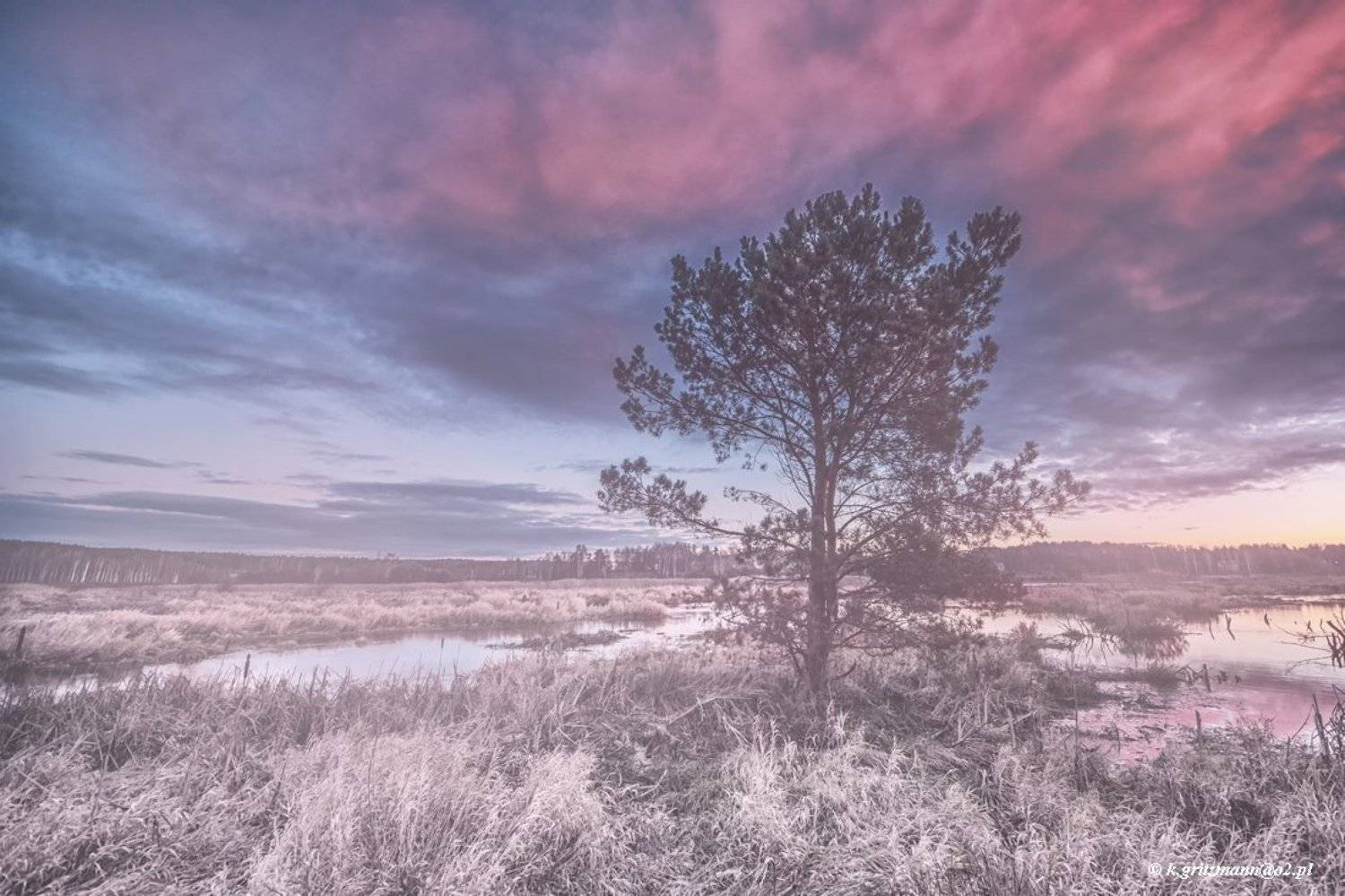 , Katarzyna Gritzmann