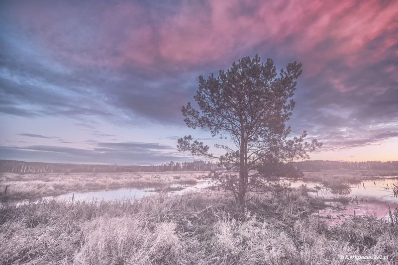 ... фото превью